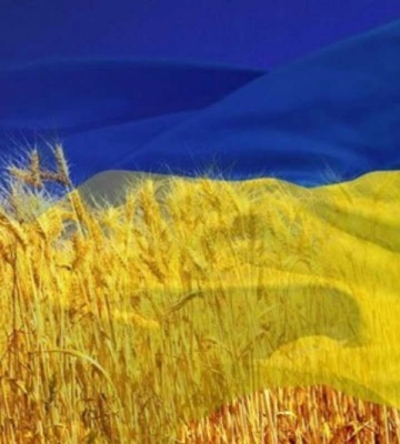Мешканців Дніпропетровщини та переселенців запрошують долучитися до безкоштовного онлайн-марафону