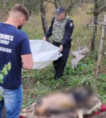 В освобожденном селе на Харьковщине обнаружили тела четырех замученных мирных жителей