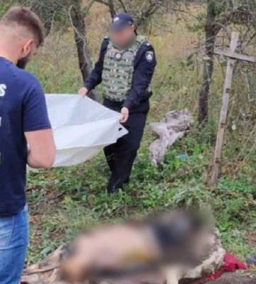 У звільненому селі на Харківщині знайшли тіла закатованих цивільних