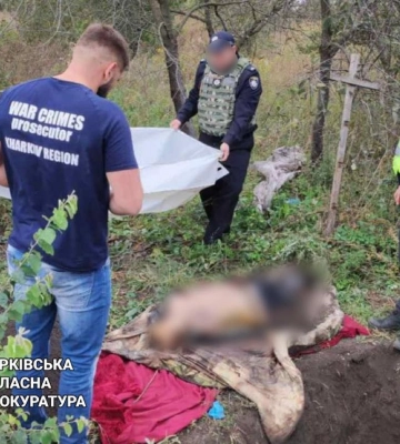 Деокупована Харківщина. Виявлено тіла цивільних зі слідами катувань 