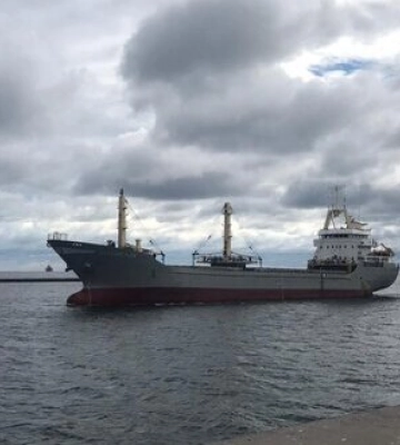 Ще 7 суден із 151,5 тис. тонн агропродукції вирушили з портів України до країн Азії та Європи. ФОТО