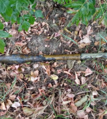 За добу на Київщині знешкоджено понад 220 вибухонебезпечних предметів