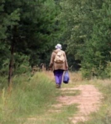 На Шаччині у лісі знайшли 79-річну жінку мертвою