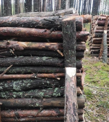 У громаді на Волині всі школи та дитсадки опалюватимуть дровами і торфобрикетом