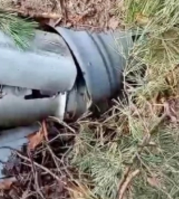 Понад 150 тисяч гектарів лісу повернули з окупації на Харківщині