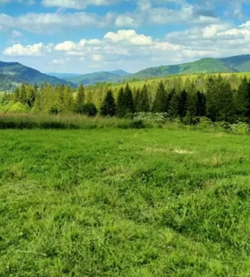 Найдорожчу на Львівщині земельну ділянку продали у гірському селі