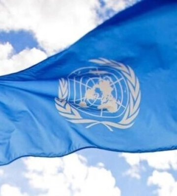 ООН домовляється про відновлення експорту російського аміаку через Україну