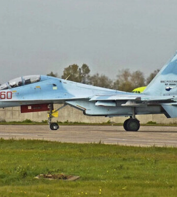 Львівські десантники збили російський винищувач Су-30 з радянської «зенітки» (ВІДЕО)