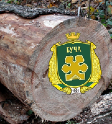 Влада Бучі заплатить майже 80 тис. гривень за виготовлення дерев&#039;яних мап міста