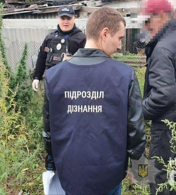 У Дніпрі чоловік у дворі будинку влаштував розсадник коноплі
