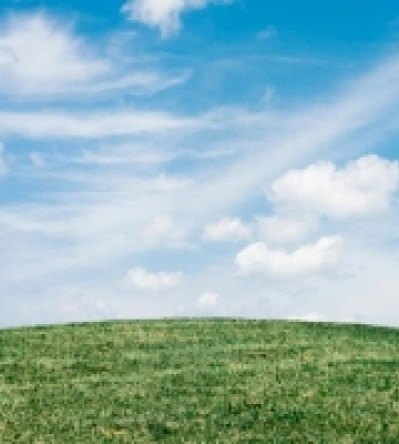 У Мар'янівській громаді конфіскували земельну ділянку, яка належала росіянці