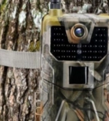 У громаді на Волині встановлять фотопастки для порушників