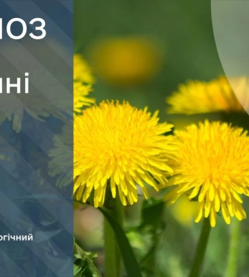 30 квітня погода Київ та область: малохмарно, без опадів