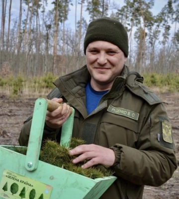У лісах Кіровоградщини висадили 982 тисячі штук сіянців