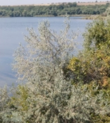 На Бериславщині державі повернули землі лісового фонду вартістю понад 600 млн грн