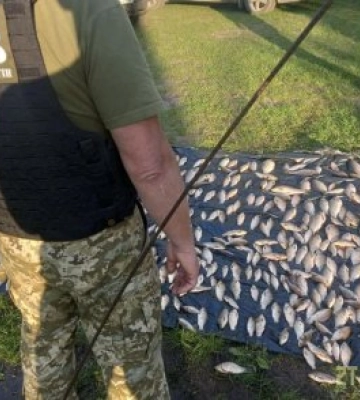 Наловили більш ніж на півмільйона гривень: на Житомирщині в межах заповідника «Древлянський» виявлено браконьєрів