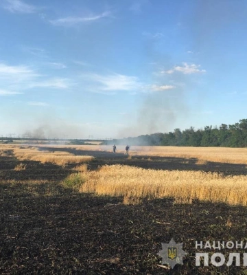 Збитки аграріїв Донеччини внаслідок війни перевищили ₴5 млрд