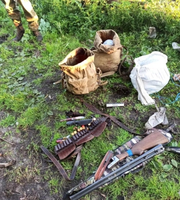 На Рівненщині браконьєри вбили червонокнижного лося