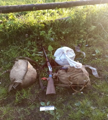 На Рівненщині браконьєри вбили червонокнижну тварину