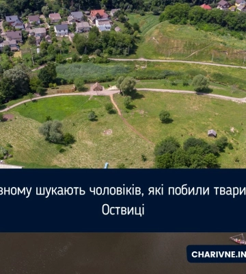 У Рівному шукають чоловіків, які побили тварин на Оствиці