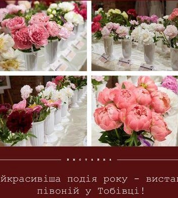 В Івано-Франківську вдруге пройде Всеукраїнська виставка півоній