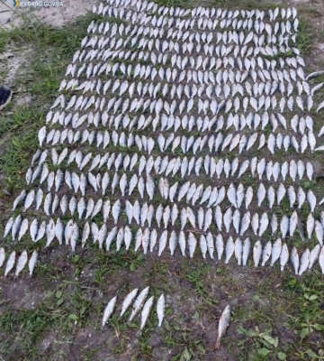У Києві чоловік наловив риби на 800 тисяч гривень (ФОТО)