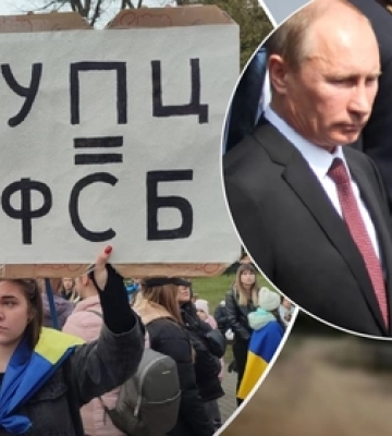 В Україні відкрили рекордну кількість ФОПів: яка кількість на Волині