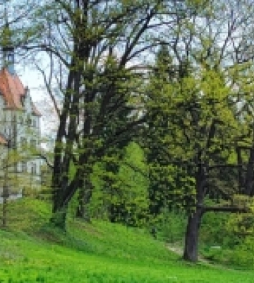 Весняне перезавантаження: 7 вагомих причин відвідати Закарпаття в травні