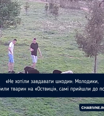 У Рівному встановлено особи чоловіків, які на “Оствиці” знущалися з тварин
