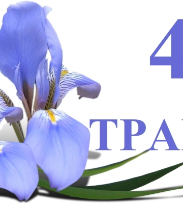 Сегодня 4 мая: какой праздник и день в истории