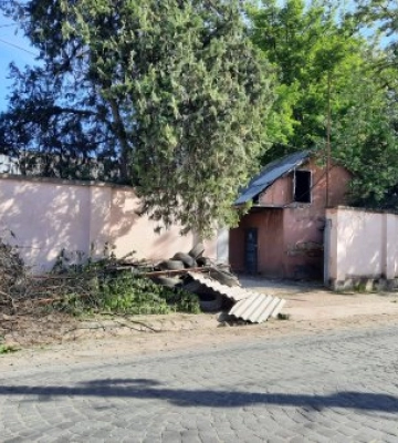 Сутичка між ромами та працівниками РТЦК у Виноградові: лунали постріли (ВІДЕО)