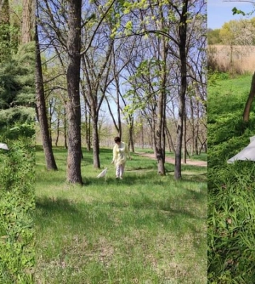 У двох громадах Кіровоградщини виявили кліщів, заражених хворобою Лайма