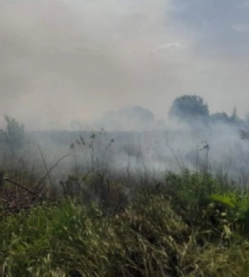 Львів’ян попередили про високу пожежну небезпеку
