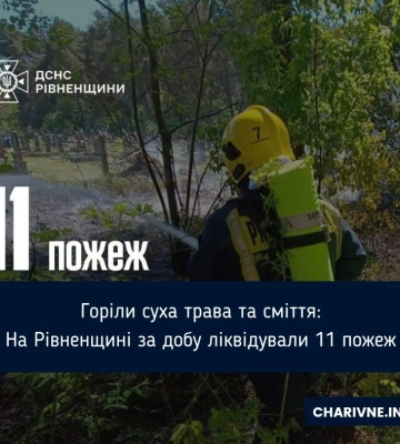 Горіли суха трава та сміття: На Рівненщині за добу ліквідували 11 пожеж