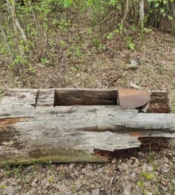 У нацпарку на Рівненщині показали фото хутора, де від розстрілу заховали єврейську сім`ю (ФОТО)