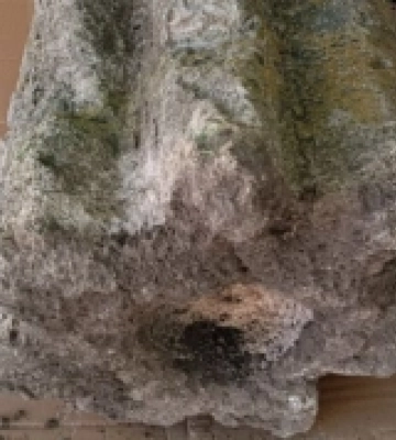 Херсонському музею передали старовинний гарман
