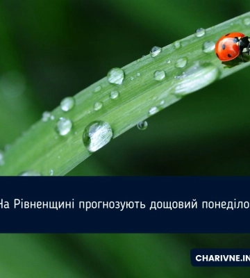 У понеділок на Рівненщині йтиме дощ