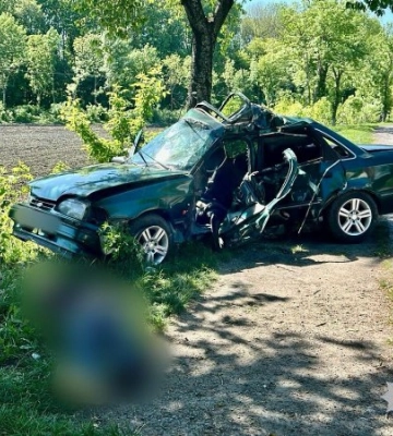 В Одеській області автомобіль влетів у дерево: водій загинув, його маленького сина госпіталізували