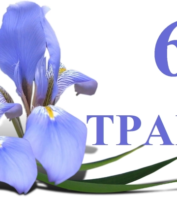 Сегодня 6 мая: какой праздник и день в истории