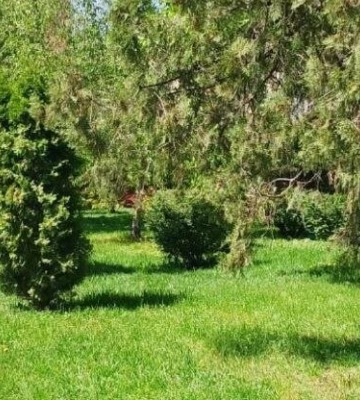 На Полтавщині буде день без опадів