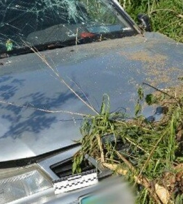 Унаслідок ДТП на Львівщині постраждали двоє дітей