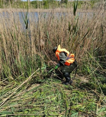 У ставку на Кіровоградщині знайшли потопельника