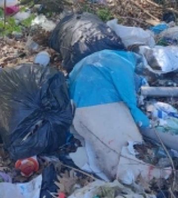 Серед лісу на Дубенщині виявили звалище сміття (ФОТО)