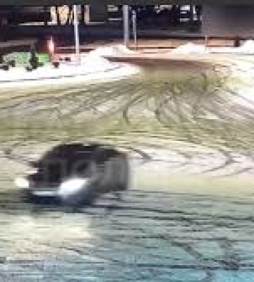 У Луцьку п’яний водій Audi дрифтував на парковці, а потім прикинувся сплячим на задньому сидінні