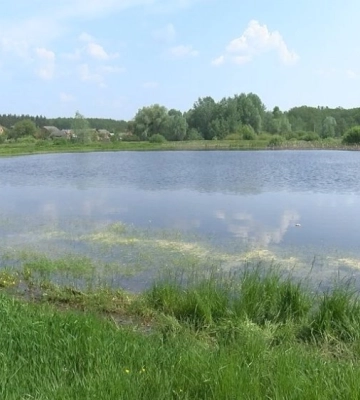 На Полтавщині знайдено тіло зниклої безвісти літньої жінки