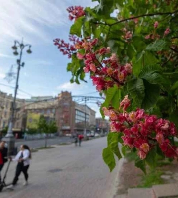 Метеоролог рассказала, когда в Киев ворвется летнее тепло