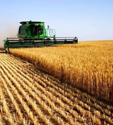 У Кропивницькому районі аграрне підприємство незаконно користувалося 100 га землі