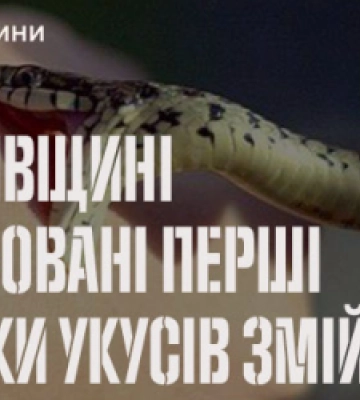 На Львівщині зафіксували перших два випадки укусу змій