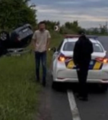 На Рівненщині водій збив на смерть вагітну лосицю