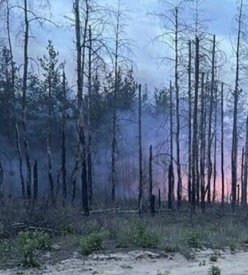 Внаслідок російського обстрілу біля Лиману горить 300 га лісу